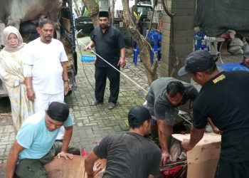 Idul Adha 1444 H Pertebal Keimanan, Rahudman Ajak Semua Pihak Menjaga Kerukunan dan Toleransi