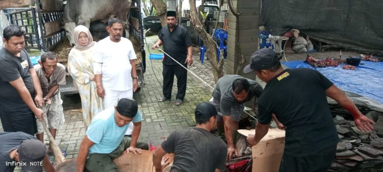 Idul Adha 1444 H Pertebal Keimanan, Rahudman Ajak Semua Pihak Menjaga Kerukunan dan Toleransi