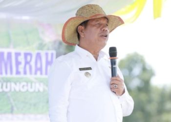 Bupati RHS Minta agar Menganggarkan Bantuan Kepada para Poktan yang Ingin Maju