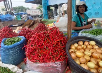 Sumut Inflasi yoy 2,78 Persen pada Agustus 2023