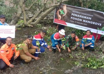 Lestarikan Lingkungan Belawan, Pertagas ONSA Tanam 500 Pohon Mangrove
