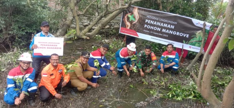 Lestarikan Lingkungan Belawan, Pertagas ONSA Tanam 500 Pohon Mangrove