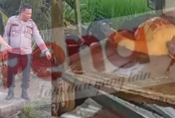 Pasutri Disambar Petir di Sibatu-batu, Suami Meninggal dan Istri Selamat