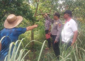 ‘Lajang Tua’ Ditemukan Gantung Diri, Pangulu : Pendiam Orangnya