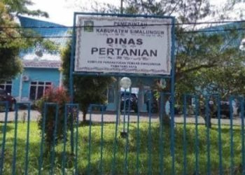 KW Proyek BKP 10 Juta, Disebut Setor Via Carlos