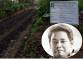 KW Proyek BKP 10 Juta, Carlos Siap Jika Rekening Diperiksa, Carlos : Udah langsung abg Naikkan ya