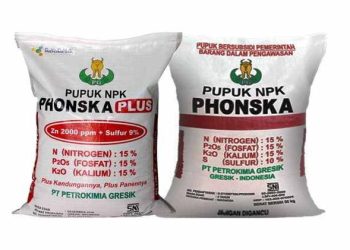 UD Lulus Tawarkan Pupuk Cuma 2 Ton, Jatah 7 Ton, PPL Edi: P0t0n6 Telinga Kalau Menyalahi Omongan Ku